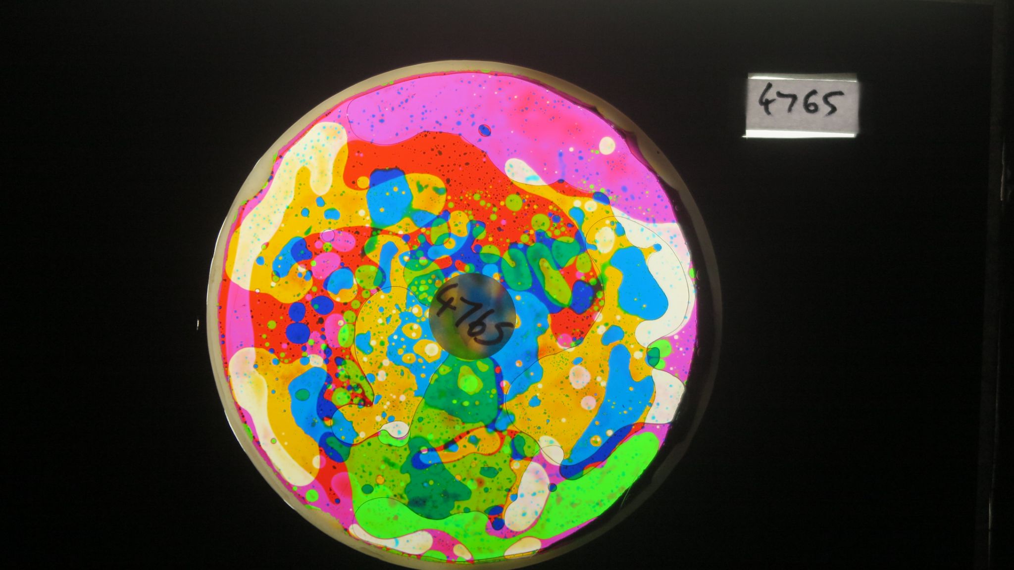 BV4765 bubble vision oil wheel